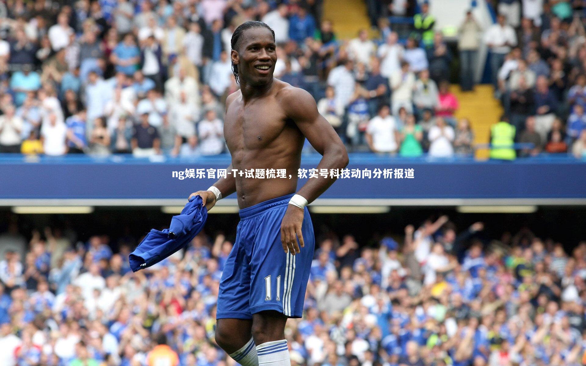 T+试题梳理,软实号科技动向分析报道